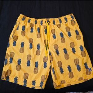 Hurley Swim Shorts Mens Large
